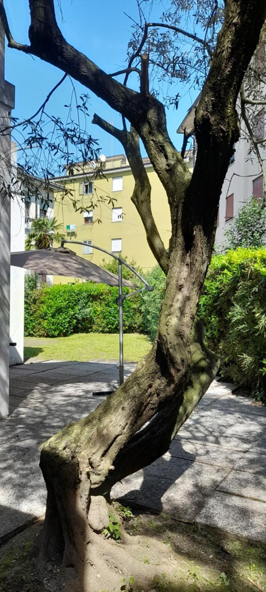 Villa Andrea Mestre Exteriér fotografie